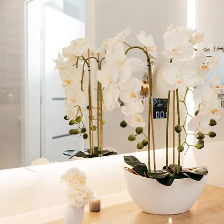 Maya's Flats & 42 - Swietej Barbary Lägenhet *